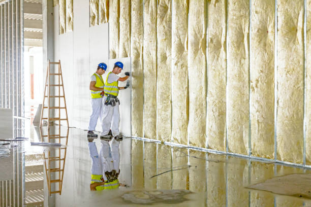 Best Types of Insulation in Reedsburg, WI